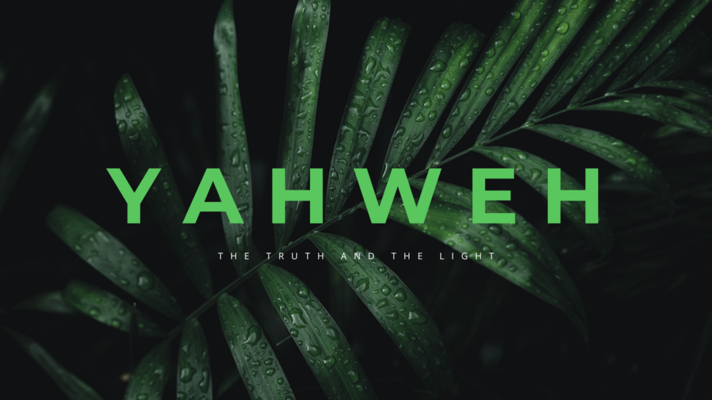 Yahweh Matters He is the Truth and the Light!